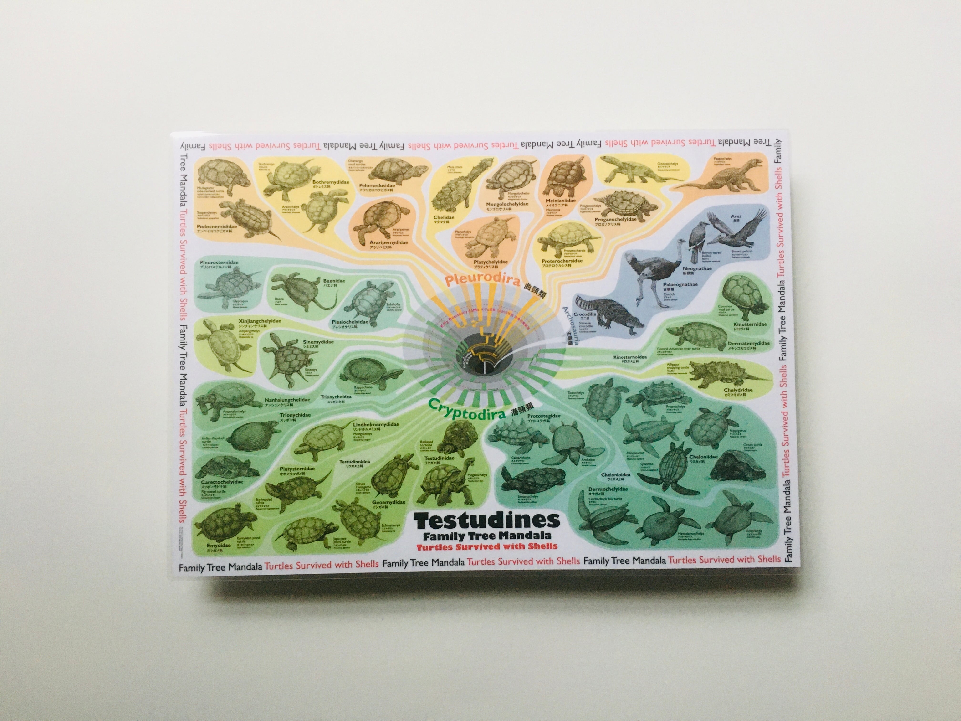 17dc8dae36300a4f78854b09802a58