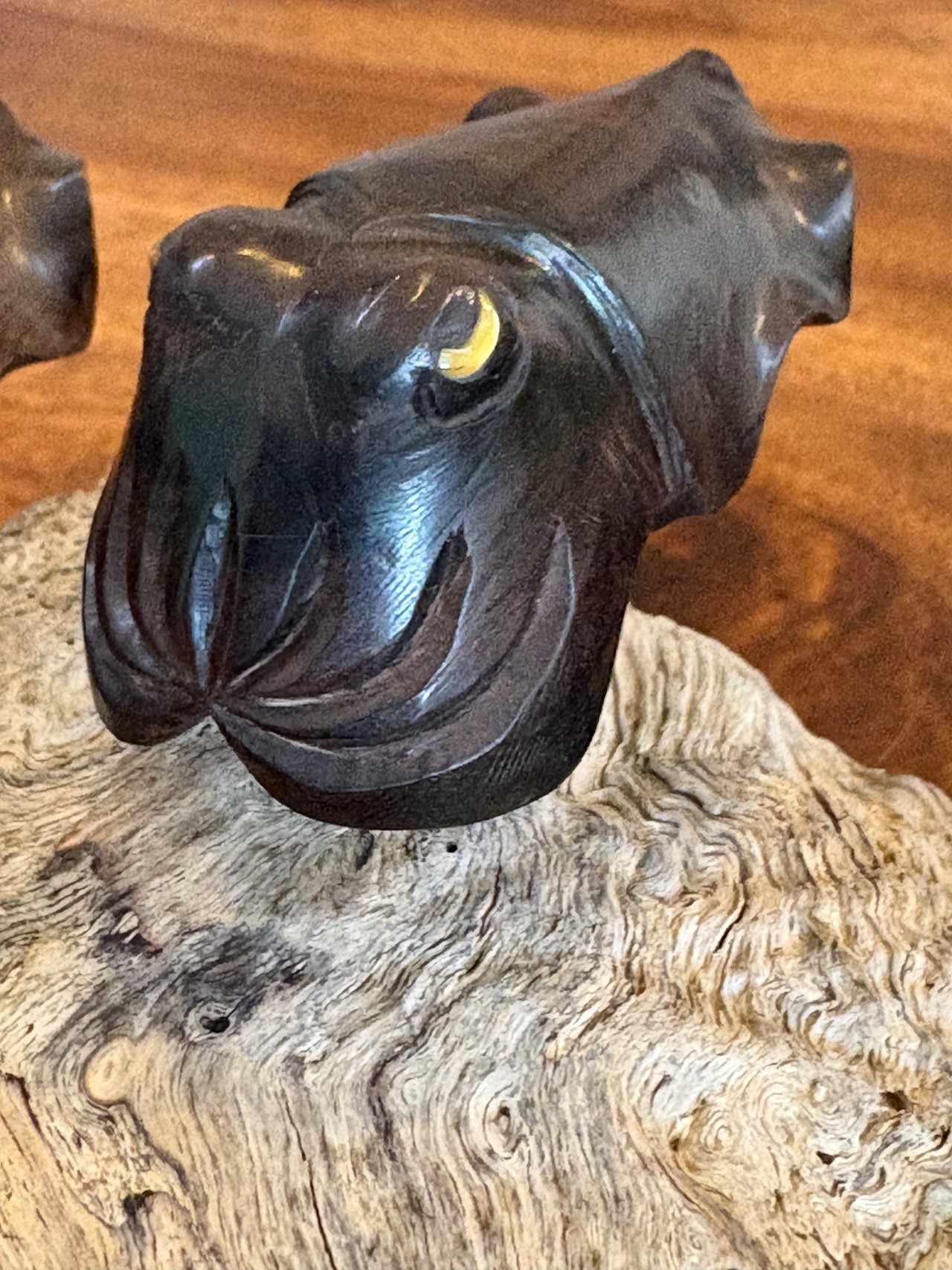 黒檀クブシミのオブジェ　(和名コブシメ)