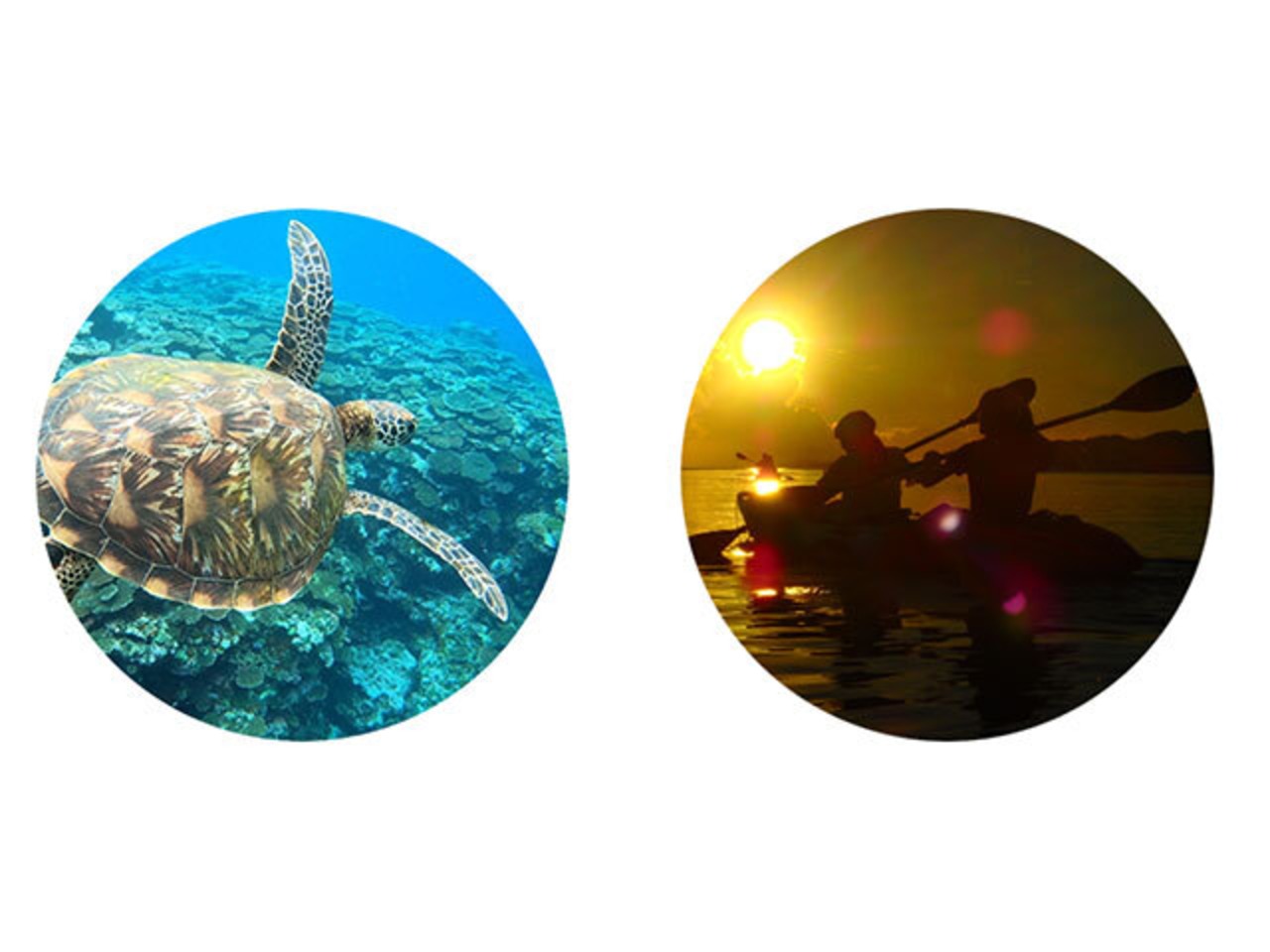 青の洞窟とウミガメのシュノーケリング＋夕日と星空のSUP