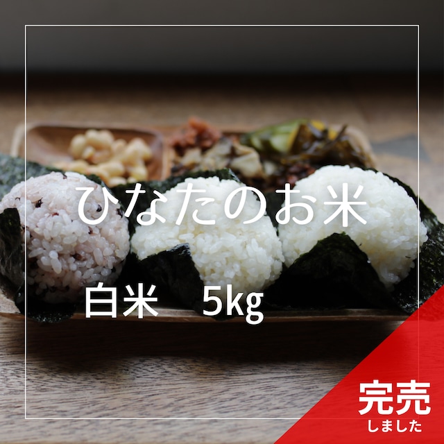 【応援価格】R7年産　ひなたのお米 白米 5kg
