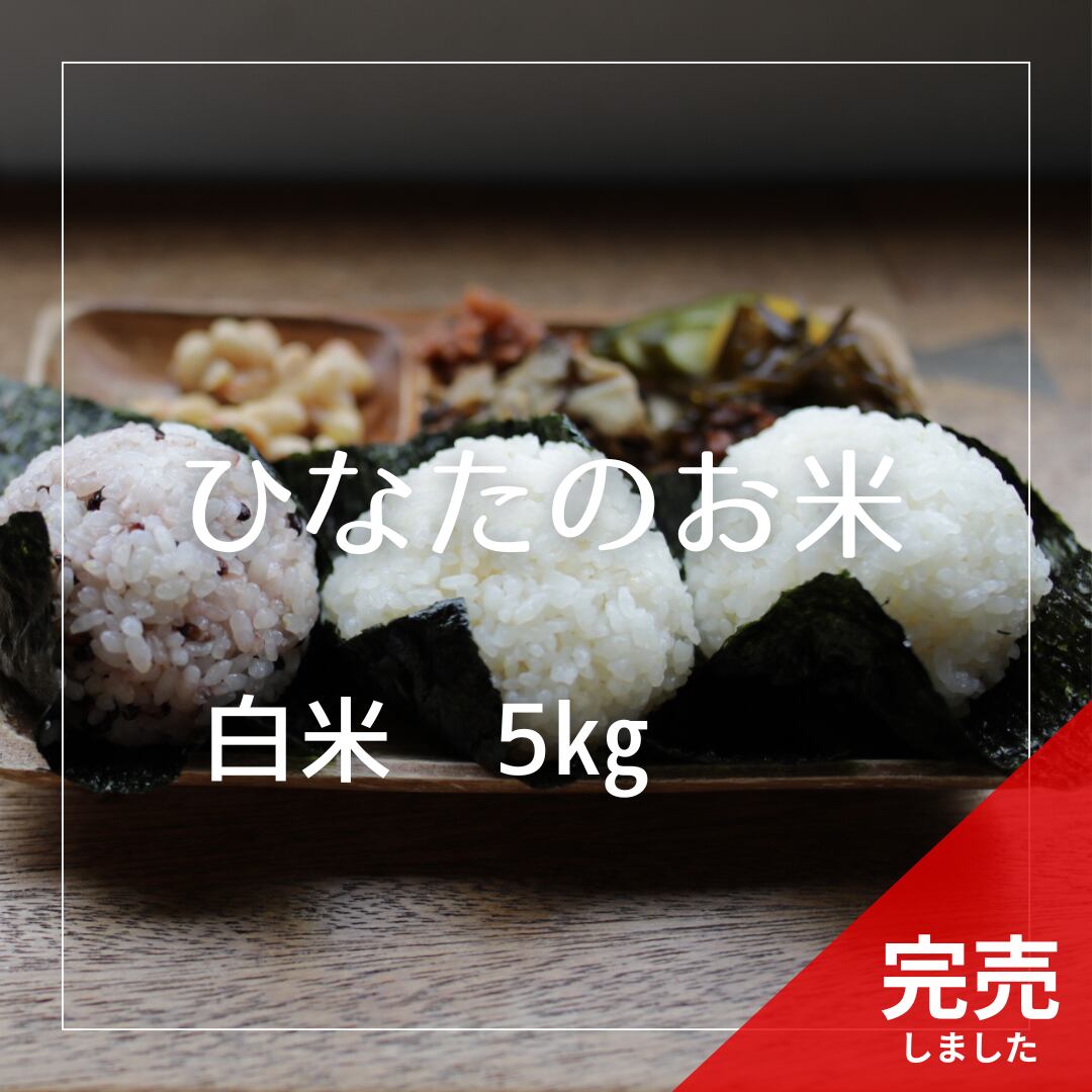 【応援価格】R7年産 ひなたのお米 白米 5kg