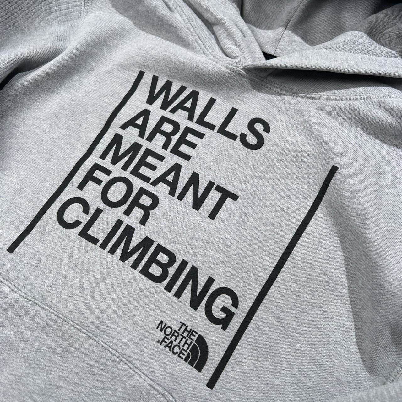 THE NORTH FACE ノースフェイス プリント フーディ スウェット パーカー サイズ M /グレー/ゴールドウイン/レディース