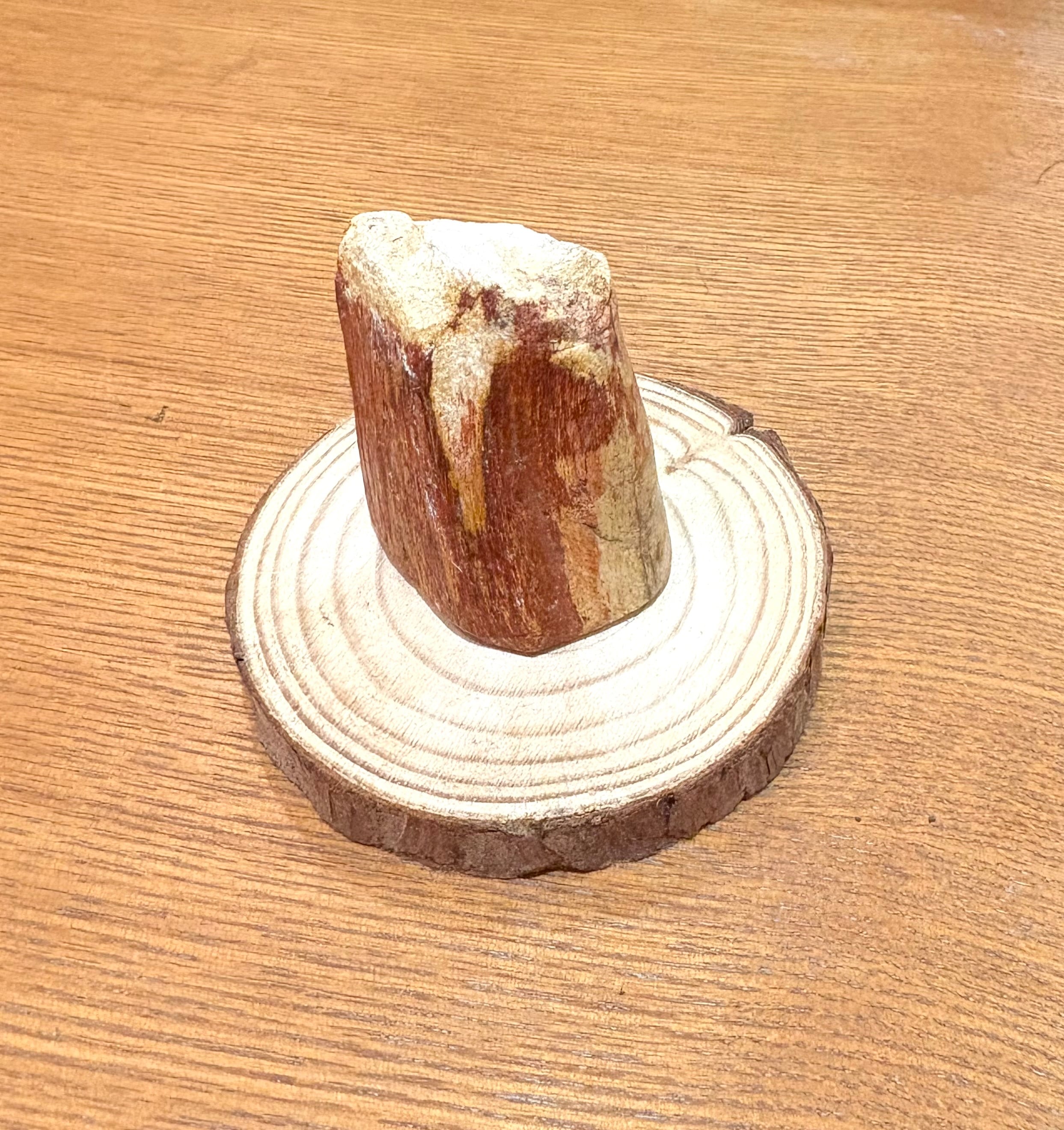 1.珪化木（木の化石） | 屋久杉小物、板材、花台、オブジェ