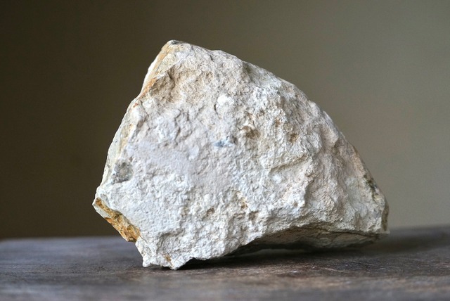 イギリス産アンモナイト化石　 Ammonite Fossil