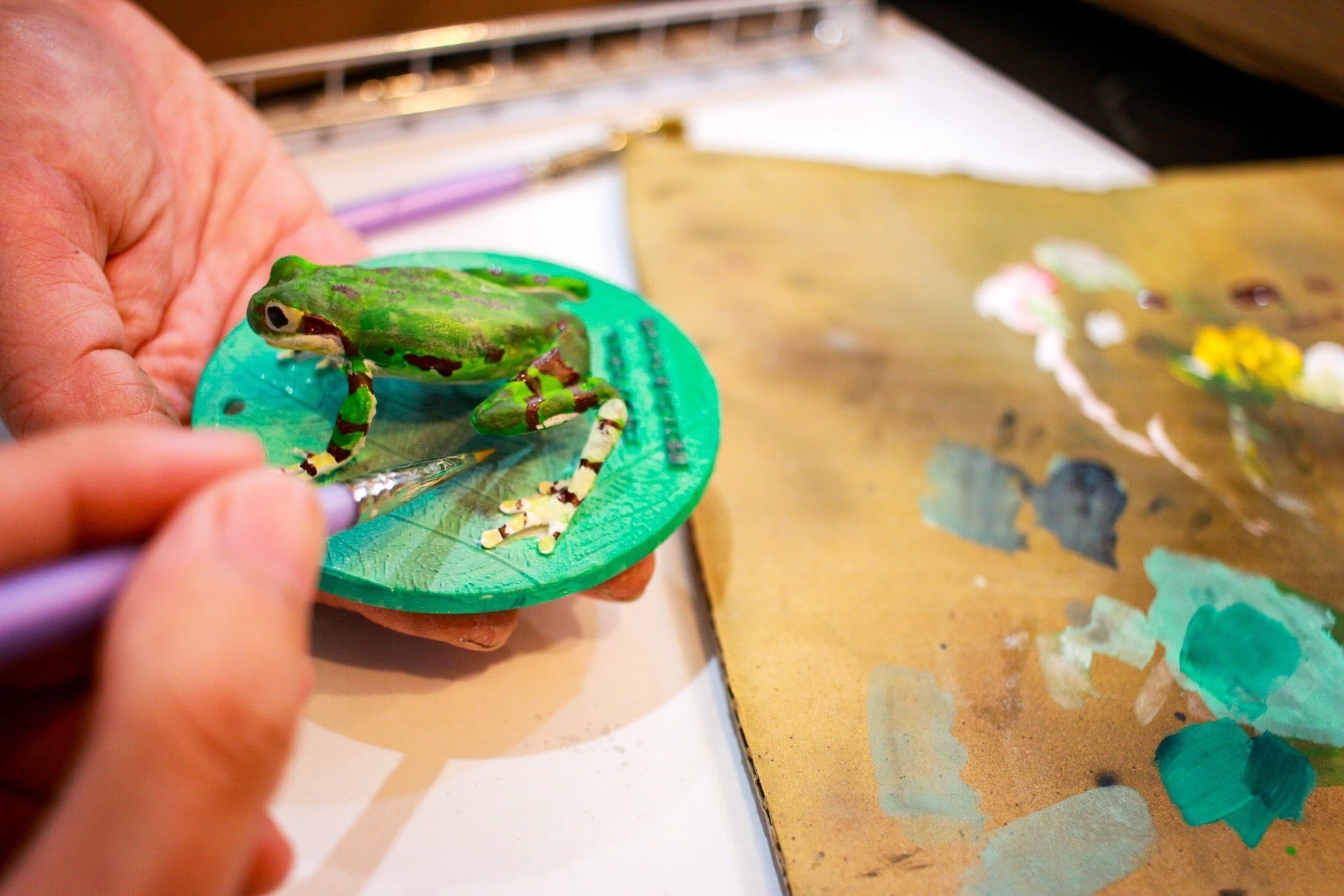 レア！アブリール大図鑑！中山蛙著。 レア！アブリール大図鑑！中山蛙著。 中山蛙の本おすすめ