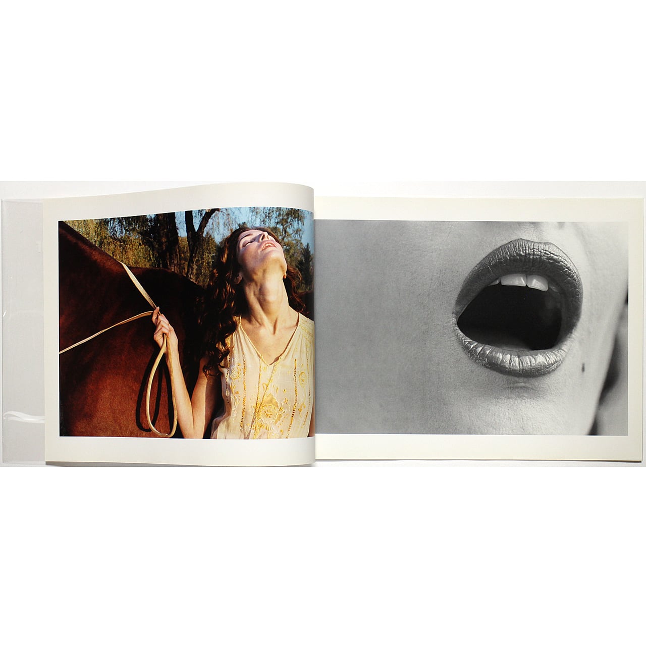 Juergen Teller / Stephanie Seymour: MORE ユルゲン・テラー