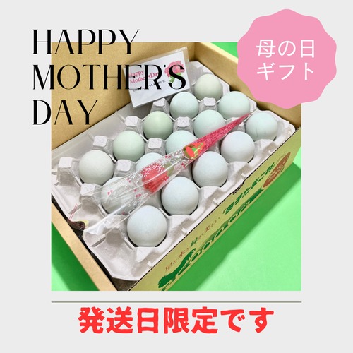 【Happy　Mother′s　Day】早割　母の日ギフト！！10％OFF【～4/30（火）までのご注文限定】　絶品たまごギフトセット  緑の一番星　30個（15個入り×2段）