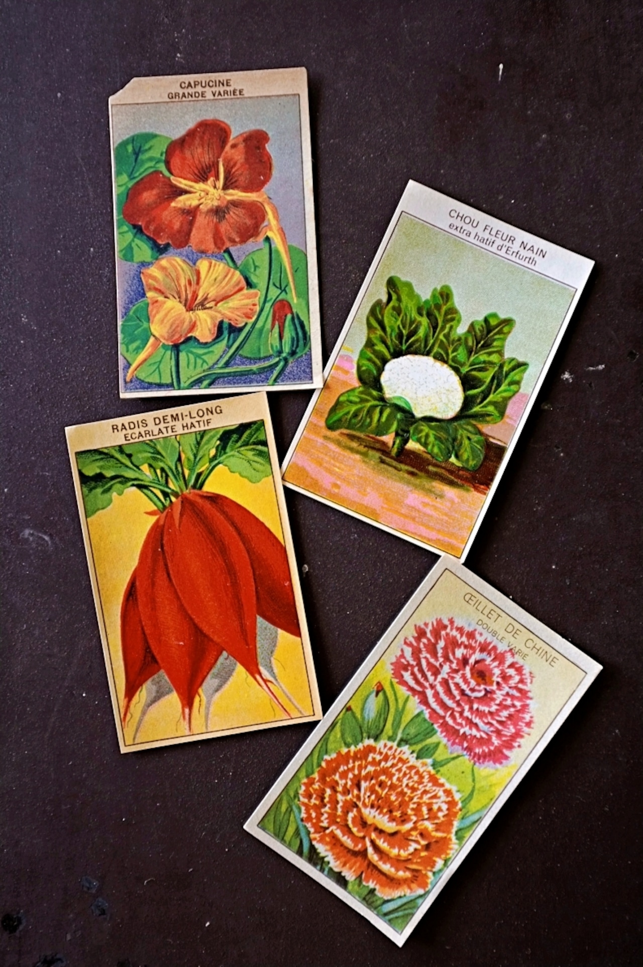 20s フランス 4set 膨満な花々と野菜たち 種子袋用ラベルa アンティーク