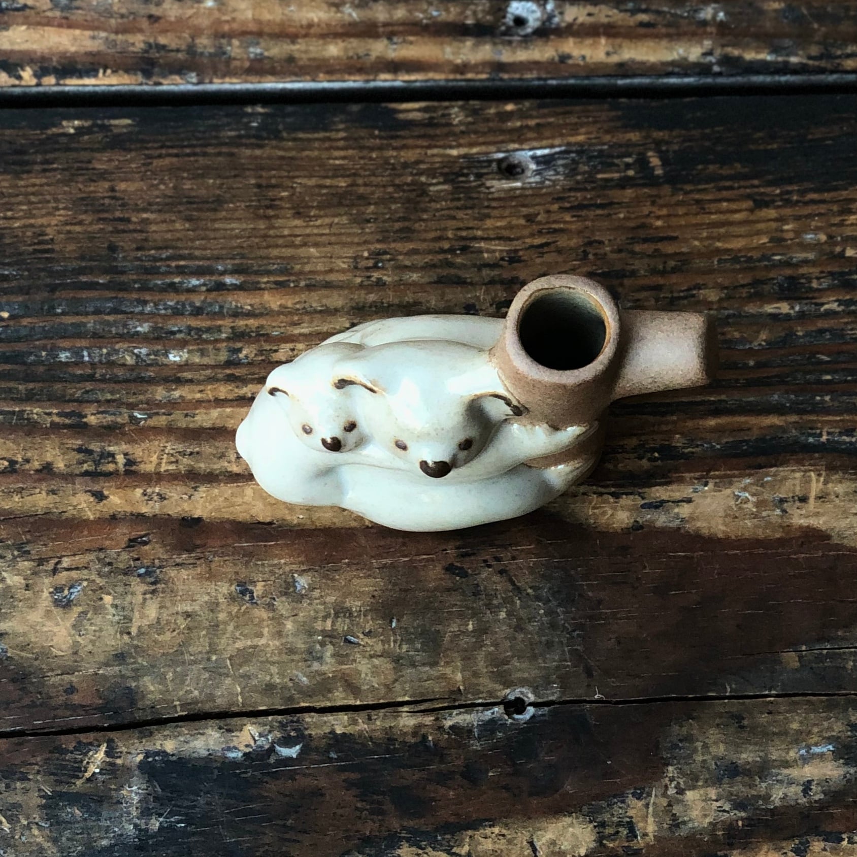 sen 花入れ コアラ | 器と雑貨ボタニカル