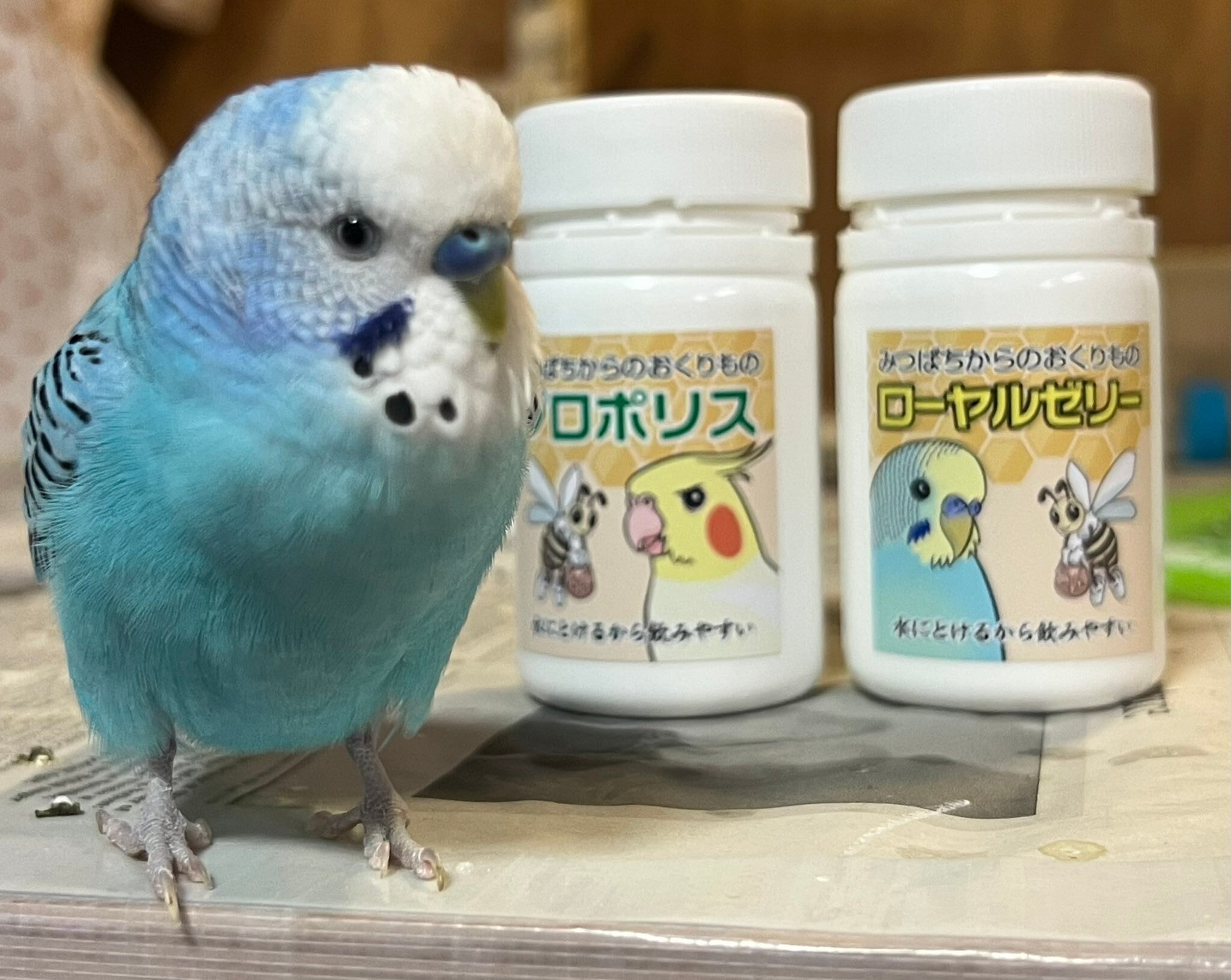 みつばちからのおくりものプロポリス(40g)・みつばちからのおくりもの