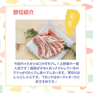 【塩麹】味付きモモ｜揚げるだけのトンカラがおすすめ！