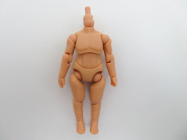 ねんどろいどどーる Man[cinnamon] 素体