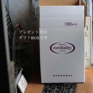 モンディマンシェ寄せ植え　ペチュニアRinさくらカラーハングポット｜届いてすぐ玄関に飾れる 　新築、開店、退職のプレゼントにもオススメ　