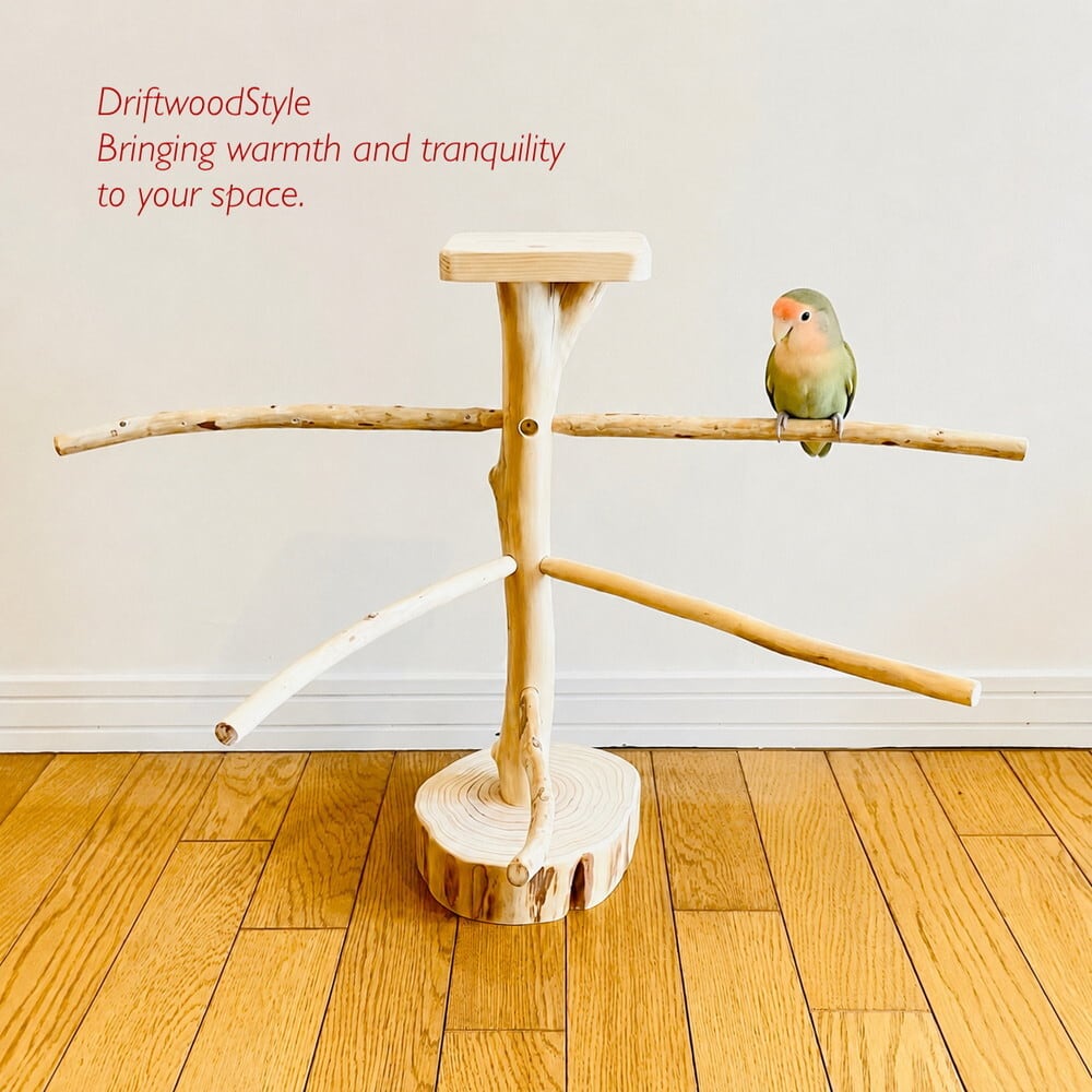 流木インテリア専門 DriftWoodStyle