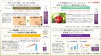 肌再生化粧品トライアルセット