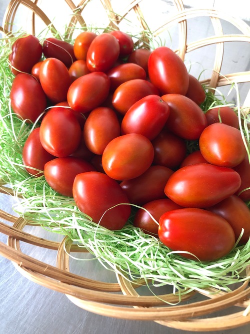 【縁-en-】（2kg）