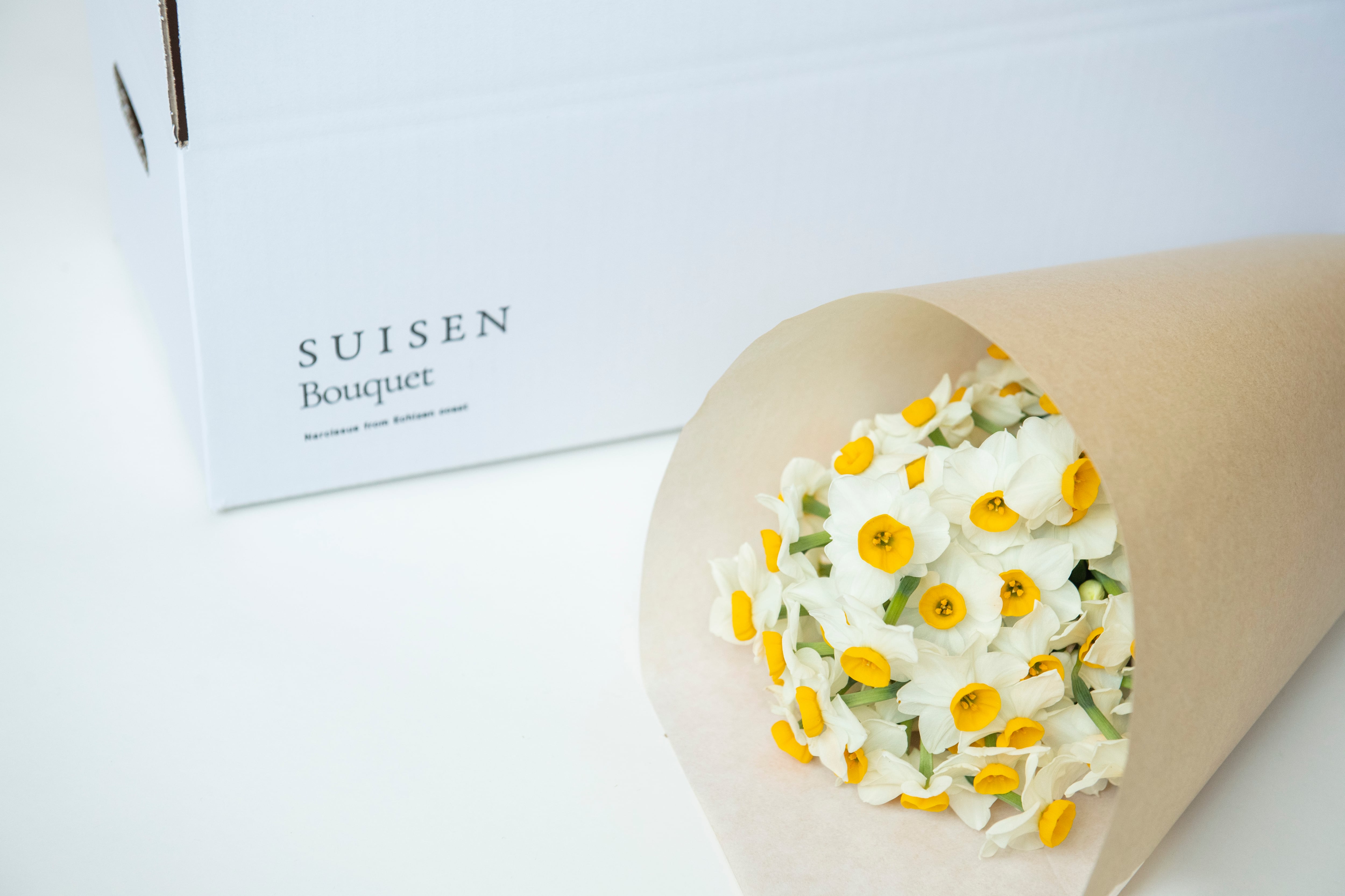 SUISEN Bouquet | ノカテ
