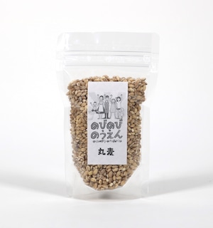 丸麦｜100g｜無肥料・無農薬｜のびのび農園