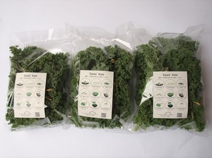 ［Sunrise Vege］ケール 80g→120ｇ×３　期間限定増量中!!