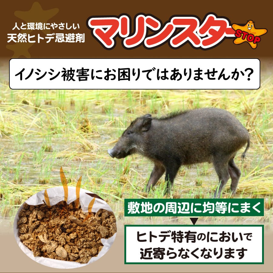 マリンスター（撒布用）20リットル | 天然ヒトデ忌避剤のグリーンパワー