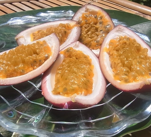 奄美大島産 たんかん 農薬・化学肥料不使用栽培 25キロ 【公式通販】