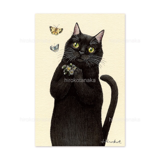 3.黒猫と蝶々 ポストカード / Black Cat and Butterflies Postcard