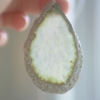 Sweet Cicely - アゲートヒーリングチャイム / Agate Healing Chime 1432