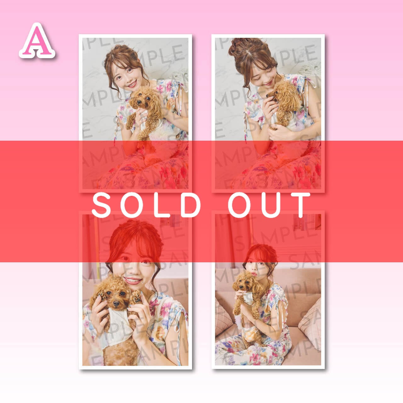 桃月なしこ 宛名入りチェキ190枚➕チェキファイル付き 桃月なしこ 宛名入りチェキ190枚➕チェキファイル付き - メルカリ