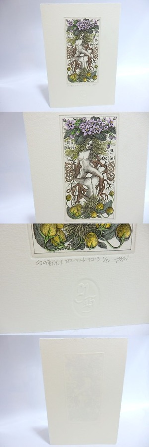 林由紀子銅版蔵書票「幻の獣たち8　マンドラゴラ」　手彩色入　/　林由紀子　　[29460]