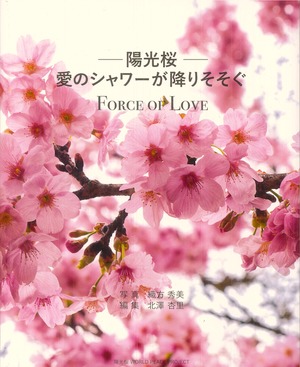 ー陽光桜ー愛のシャワーが降りそそぐ　Force of Love