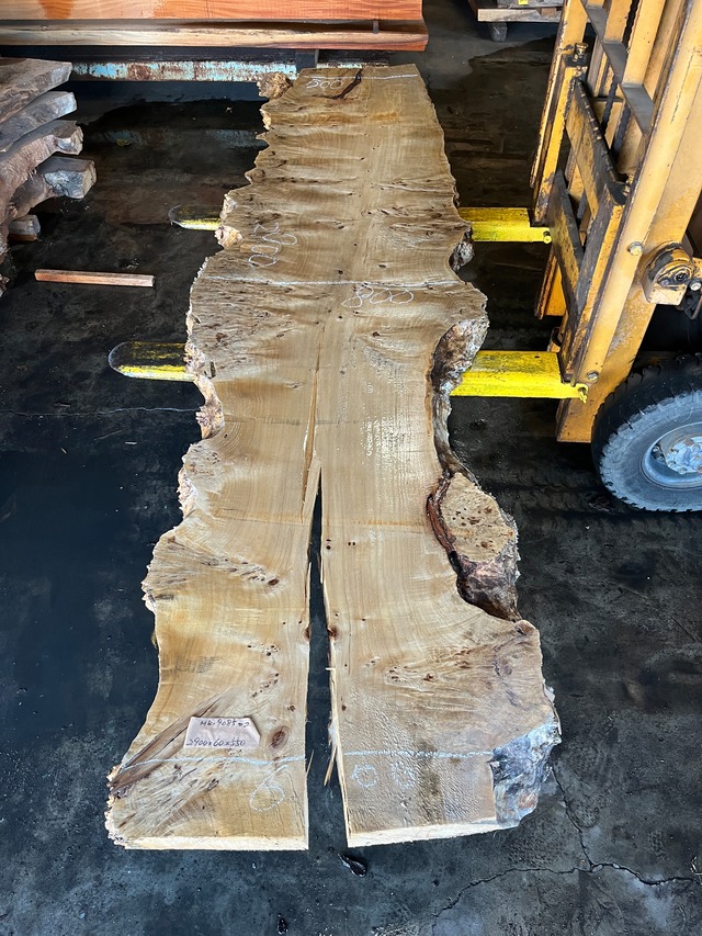 ポプラ瘤_2900×480-800×60_Web限定_オーダー用原板 T1282 T