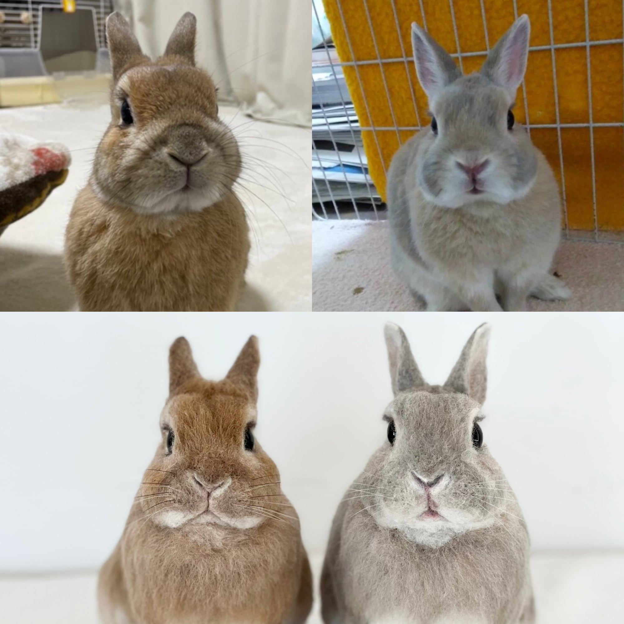 ハンドメイド　オーダー受付ページ　　♡わんちゃんとうさぎのぬいぐるみ　パネル♡ ハンドメイド オーダー受付ページ ♡わんちゃんとうさぎの