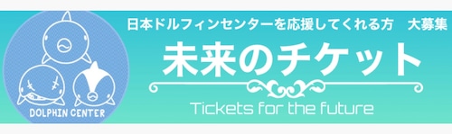 【地元のおすすめスポット】イルカと遊ぶ！「サポーターズチケット」【限定販売】日本ドルフィンセンターの商品画像2