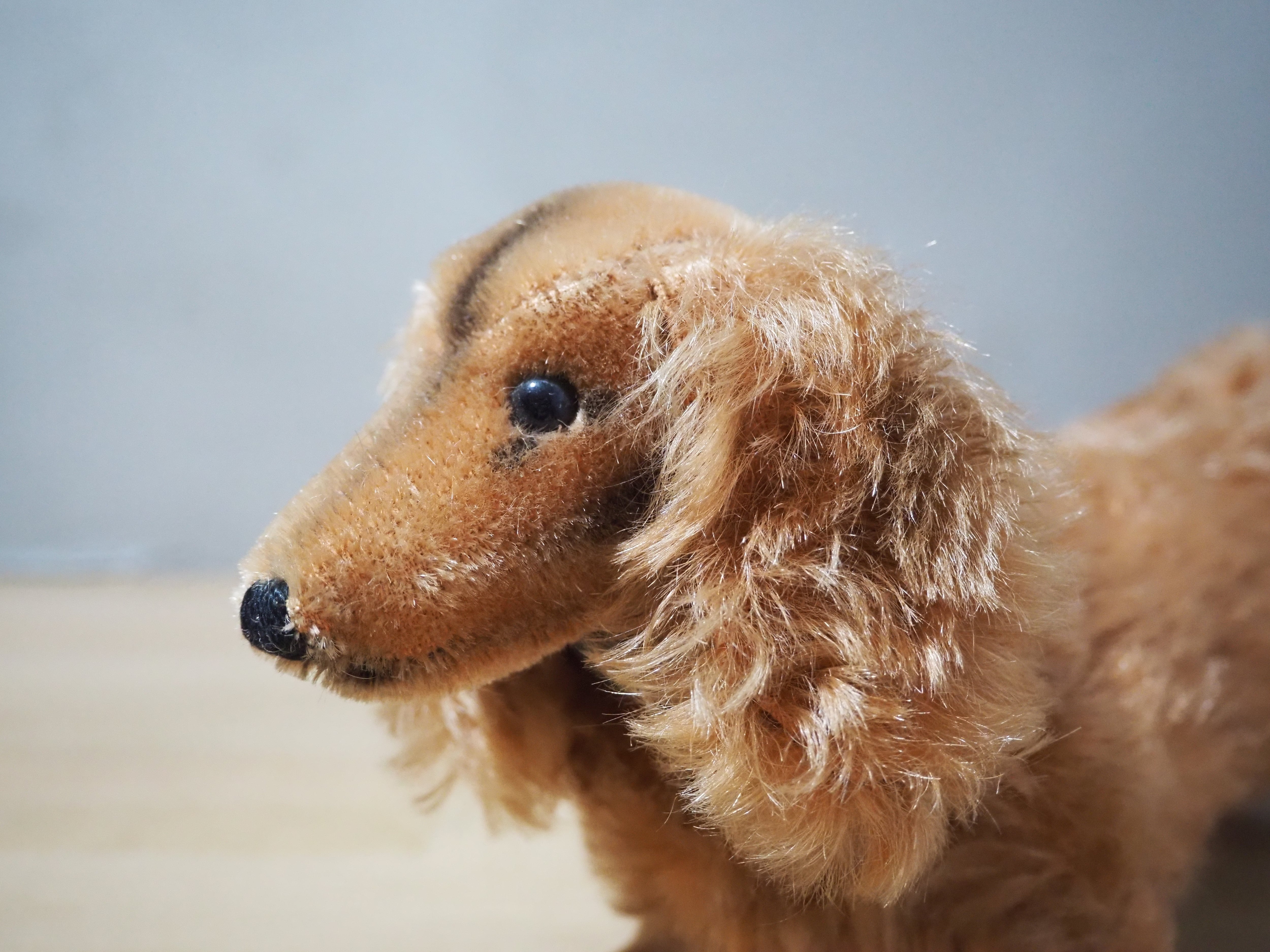 オールド シュタイフ ダックスフンド Steiff Waldi 17cm | ヒガシマチ