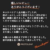 farmPALKさん苗 エケベリア コロラータタパルパ × チワワエンシス【280】