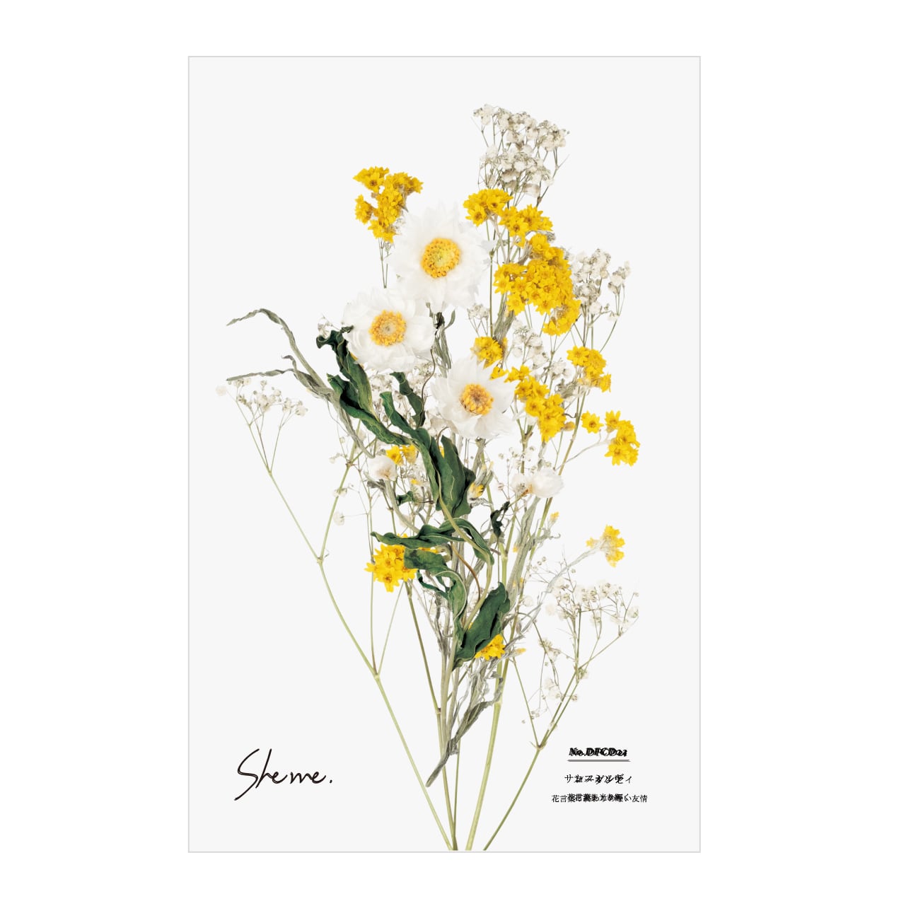 優里 2021年ツアーTとドライフラワーカードケースセット web限定価格】「大切な友人へ」Aセット(ドライフラワーカード3