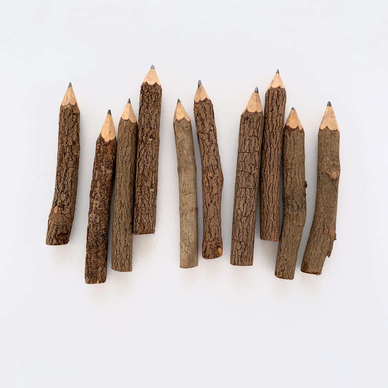 タイの鉛筆 木の枝 10本セット / Tree Branch Pencil 10 pcs | Sensitivity and Boldness