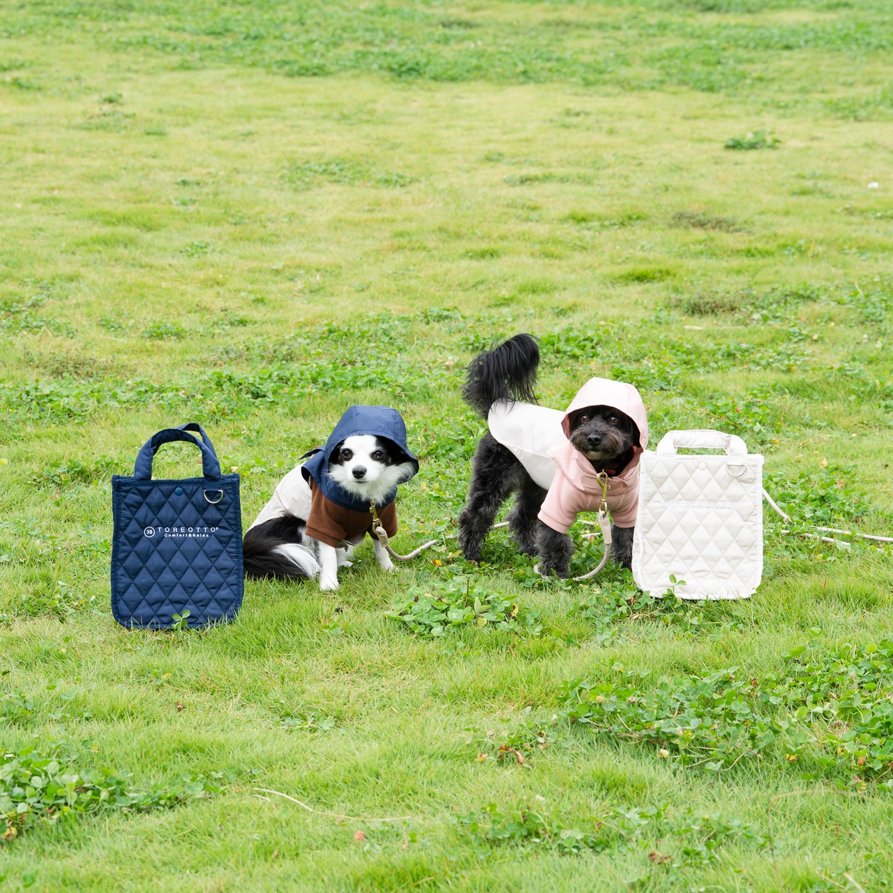38DOG RAINCORT / PINK