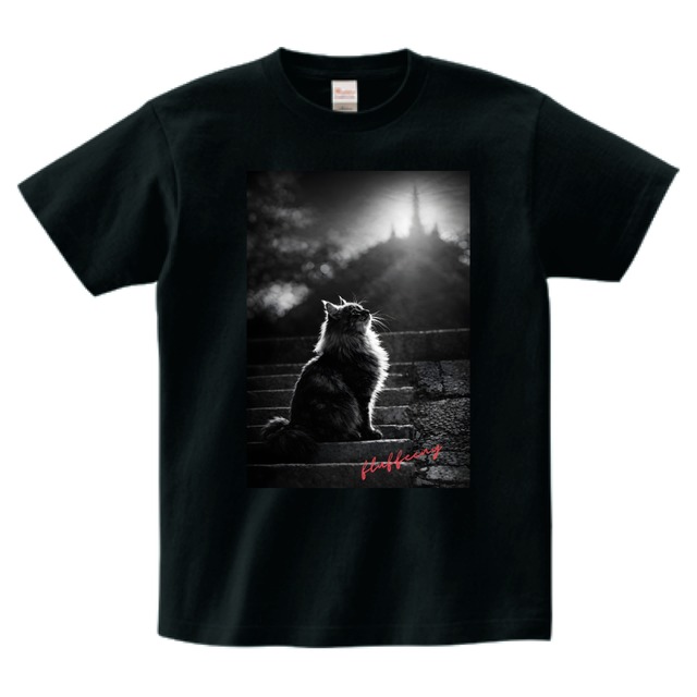 【光の先へ】fluffeeny フォトTシャツ　（1COLOR）(OF00413)