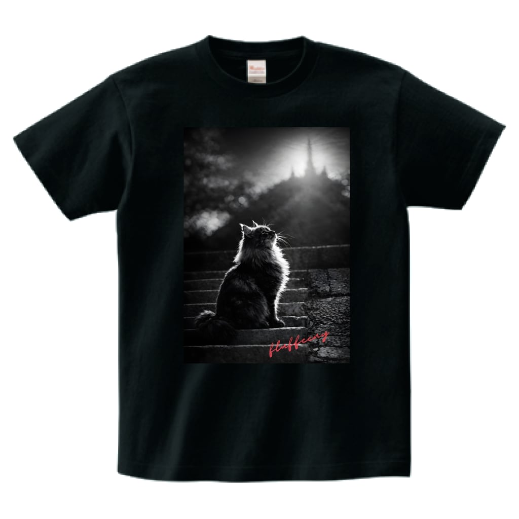 【光の先へ】fluffeeny フォトTシャツ (1COLOR)(OF00413)