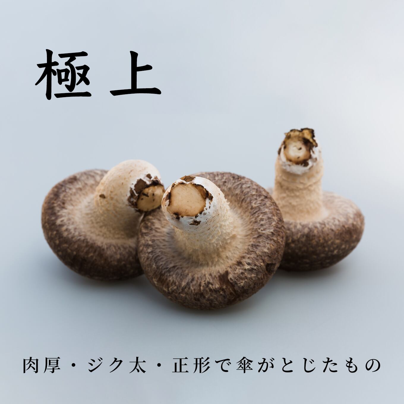 極上】グルメセット | 佐倉きのこ園ネットショップ