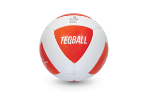 TEQBALL公式球（5号球）※限定20個