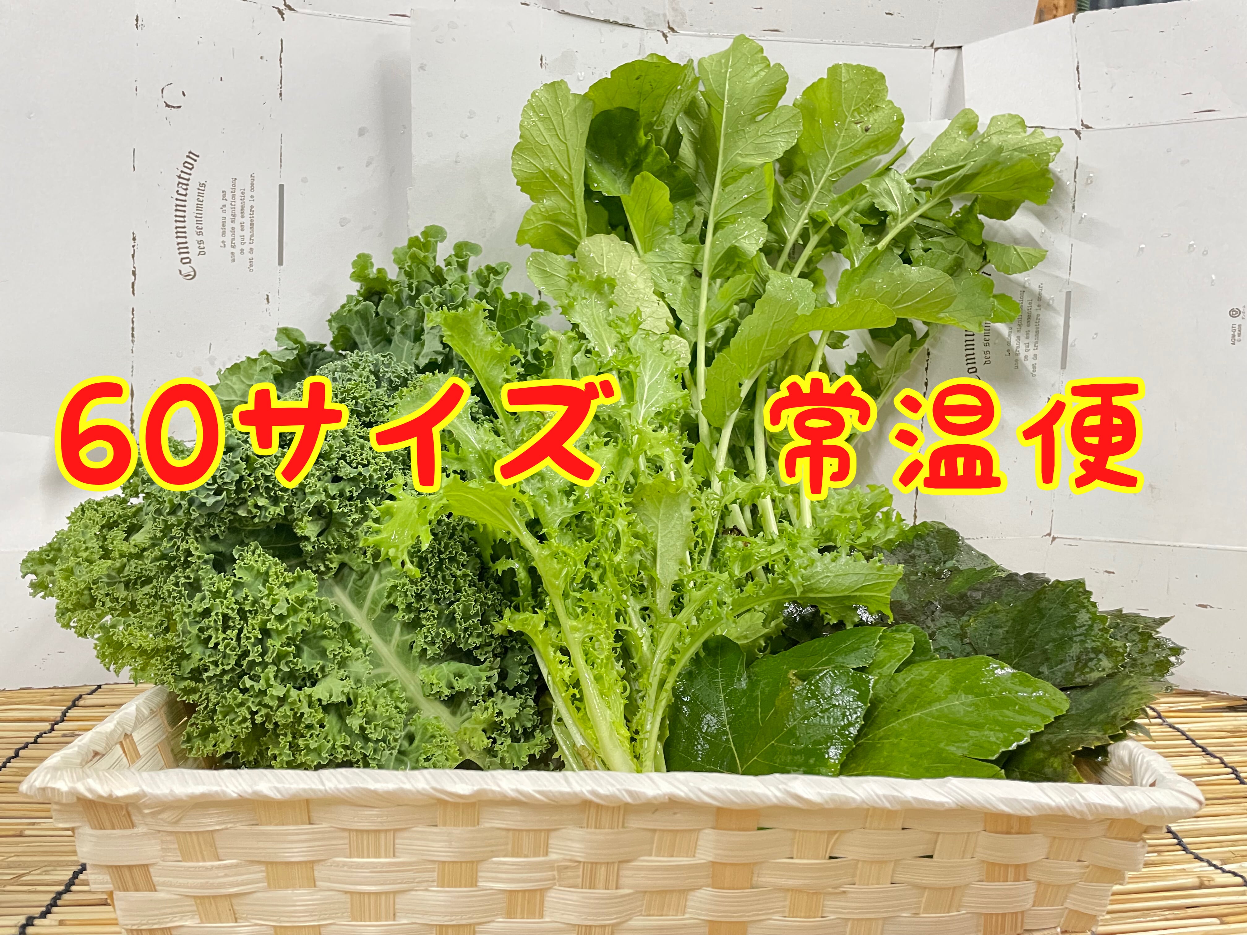 葉っぱページです！ Leaf letter : リーフレター - NEO GREEN : ネオグリーン