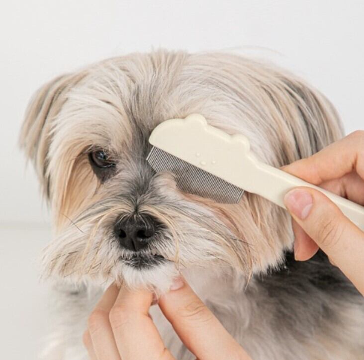 即納【BITEME】jellybear round face comb