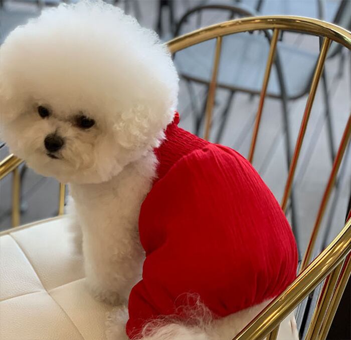 【SALE】 ボリュームオールインワン XS ~ XL 3color  /  犬服 春夏 新作 ロンパース 可愛い 犬の服 小型犬 中型犬 ドッグウェア お出かけ 犬 服 お揃い シンプル tsu35