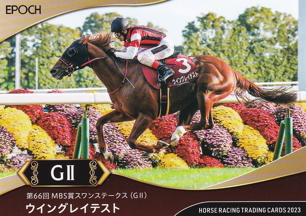 PSA10】ムサシとコジロウ {048/054} R | Pay ID