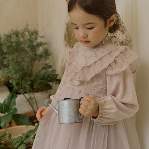 春レース付き多重メッシュワンピース2色