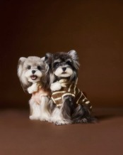 [予約販売] 【Ainoko】Cute fluffy hoodie