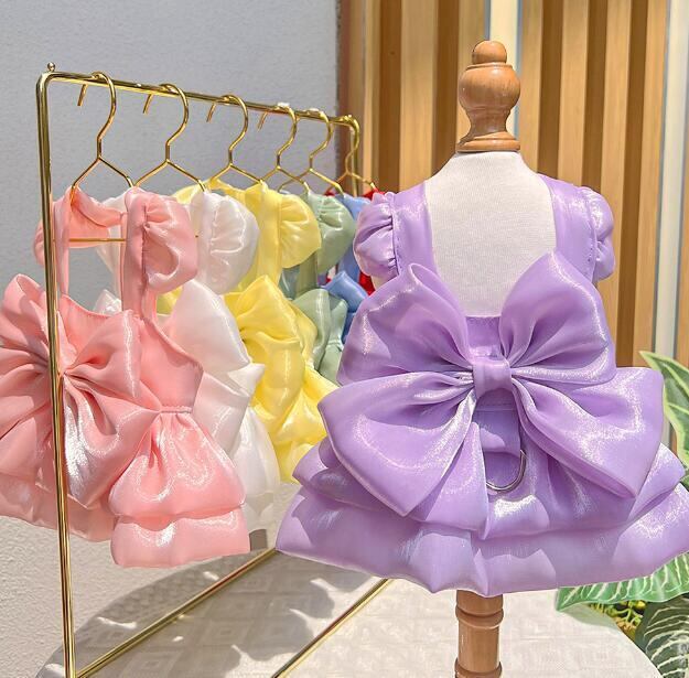 おすすめ☞《予約》№3102173 ドロシーリボンキャミ(6種)