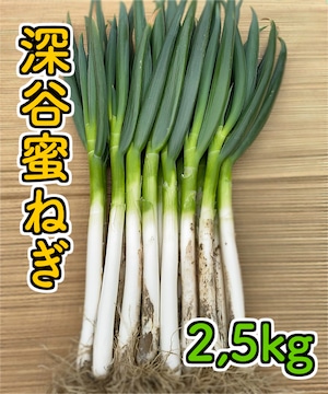 深谷蜜ねぎ2,5キロ